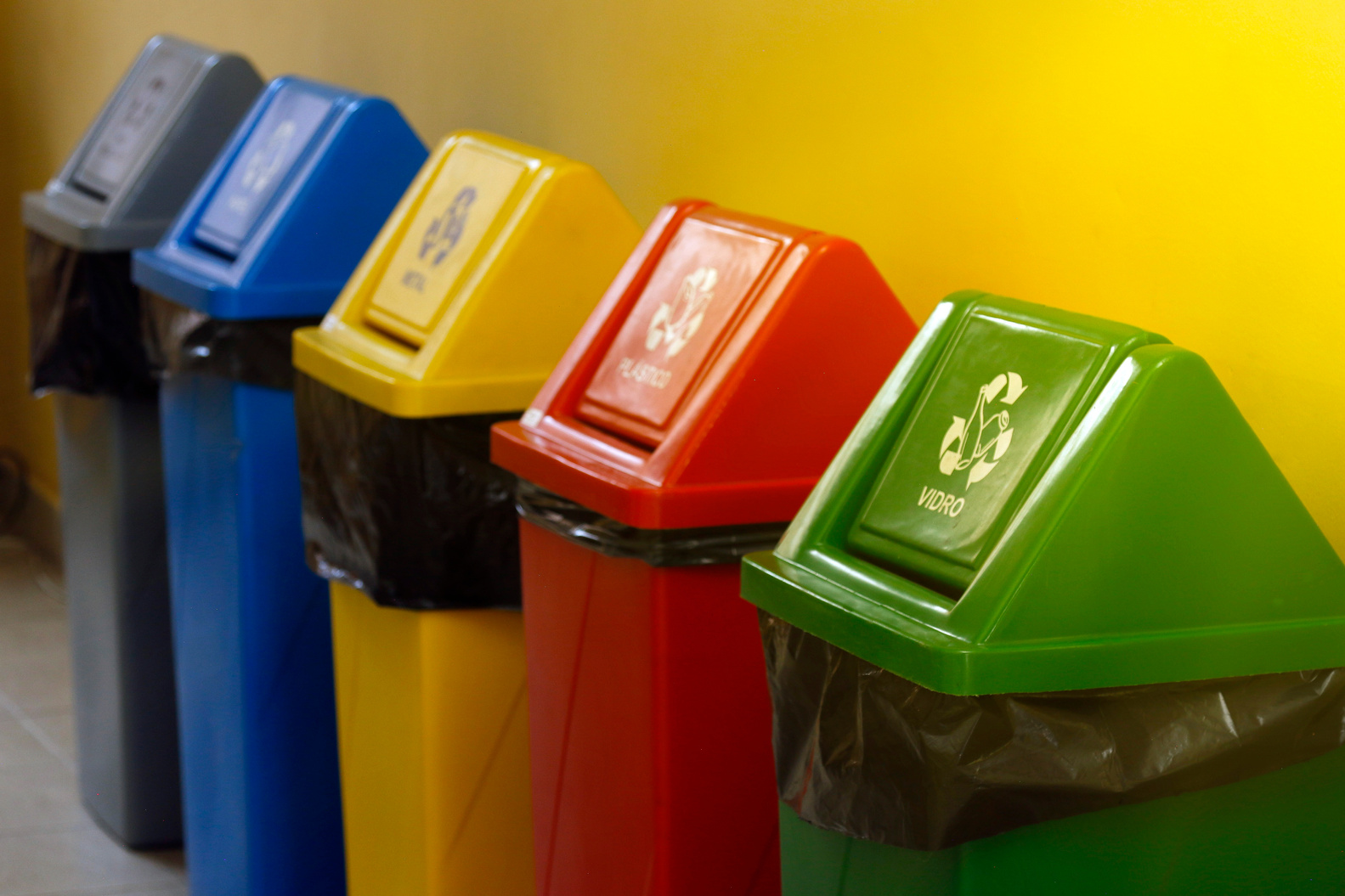 colored bins for selective garbage collection